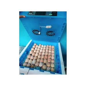 Ac / Dc Egg Incubator 64 Eggs - main view