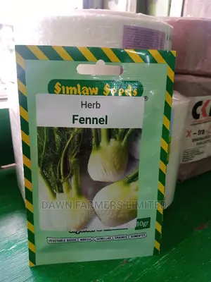 Fennel Herb 10g
