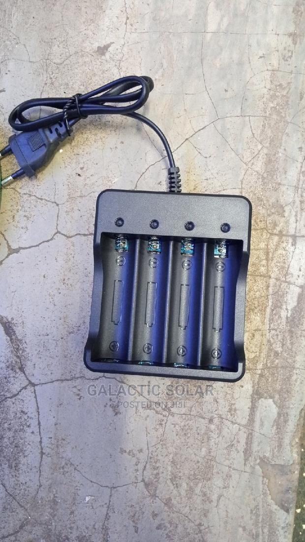 Lithium Batteries Charger - main view