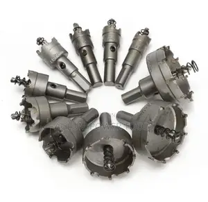 Steel Saw of Various Sizes 12 Pieces