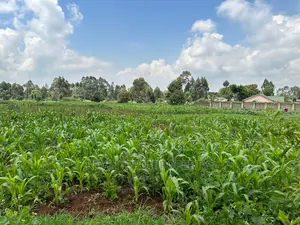 Prime Residential 1 Acre Land in Rironi Near Tilisi Estate