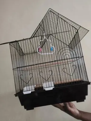 Cages With Two Feeding Points, Lovebirds Cage