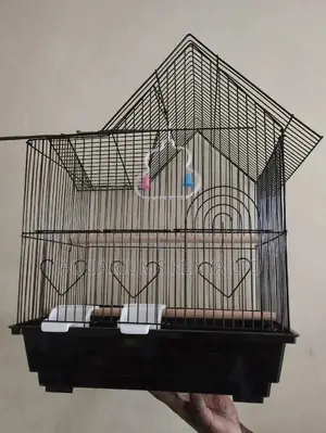 A Housed Cage Like Cage for Budgies,Cage