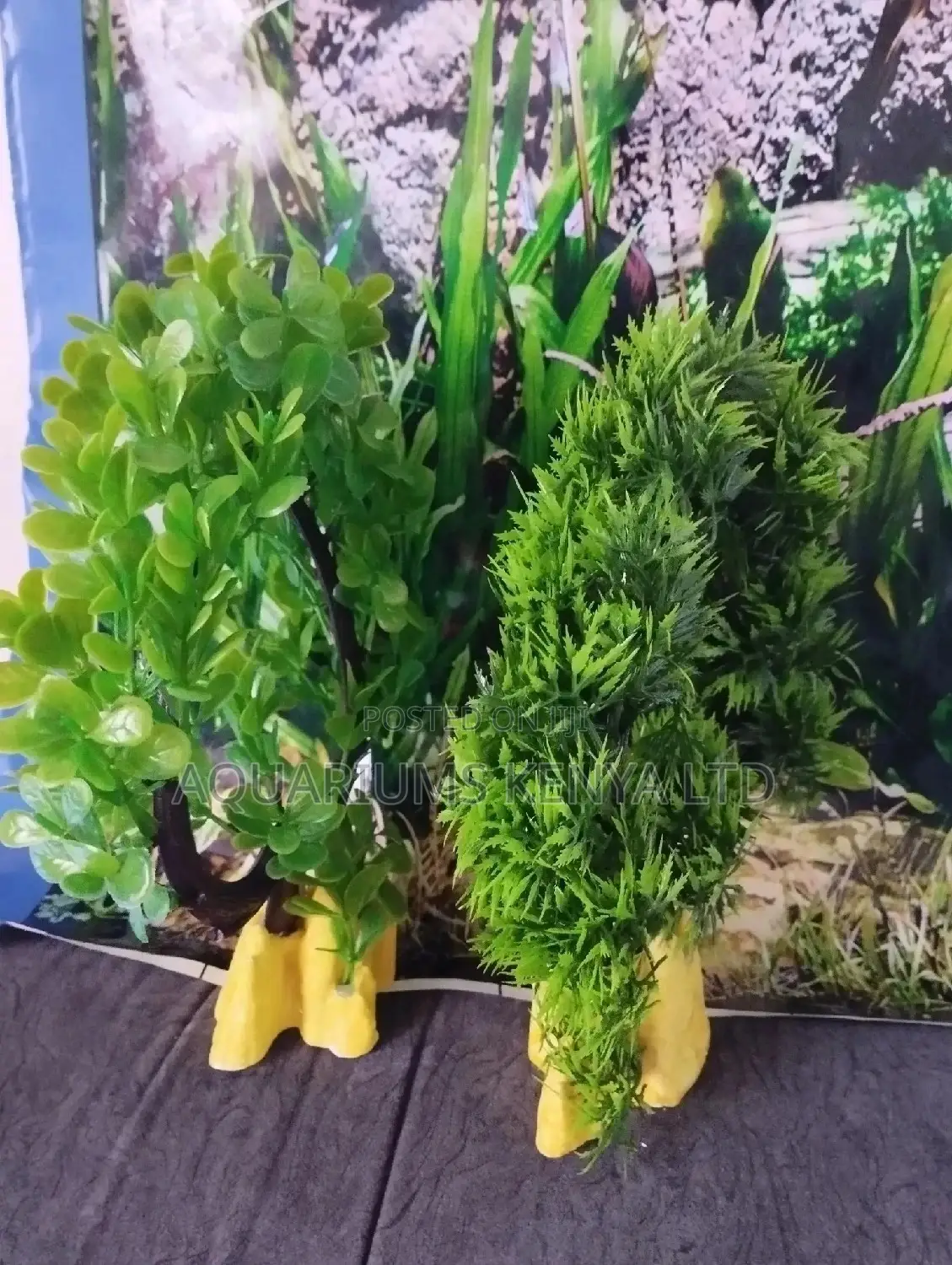 Green and Yellow Plastic Plants