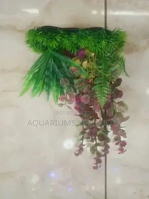 Plastic Plant That Is Well Shaped, Plastic Plants