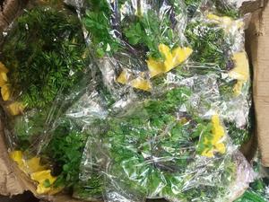 Bushy Well Coloured Aquarium Plastic Plants - thumbnail 2