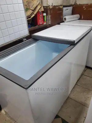 Double Door Deep Freezer