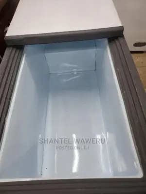 Double Door Deep Freezer