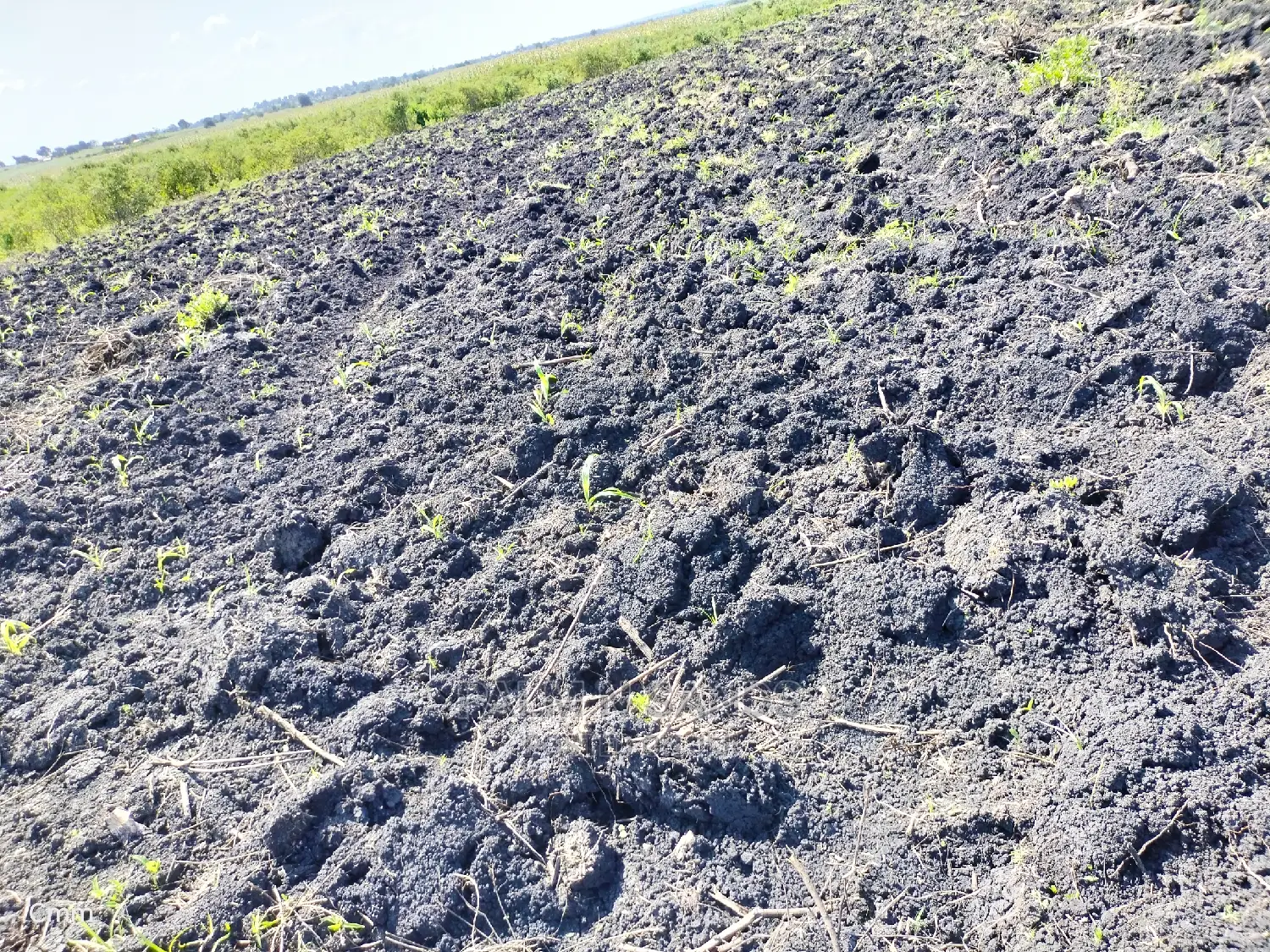 Fertile Farm Land on Sale