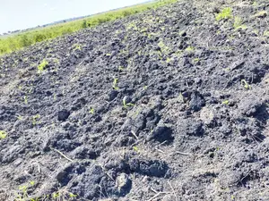 Fertile Farm Land on Sale