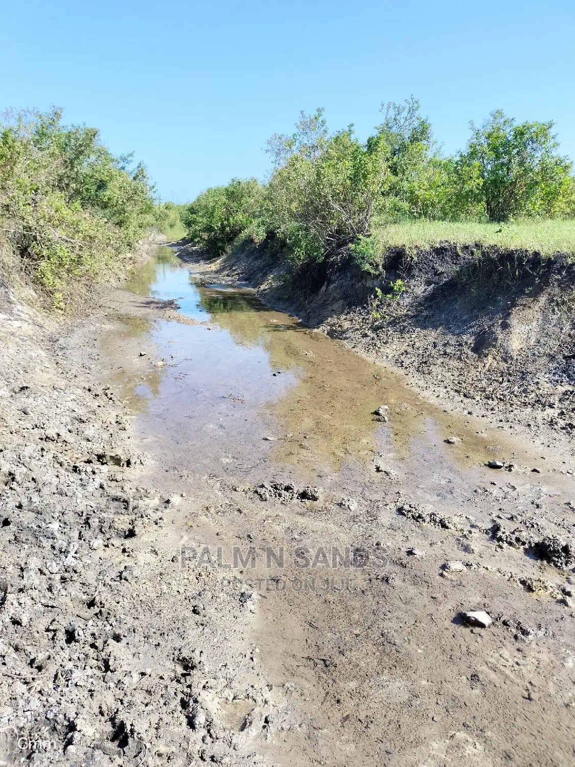 Fertile Farm Land on Sale