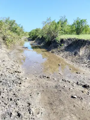 Fertile Farm Land on Sale