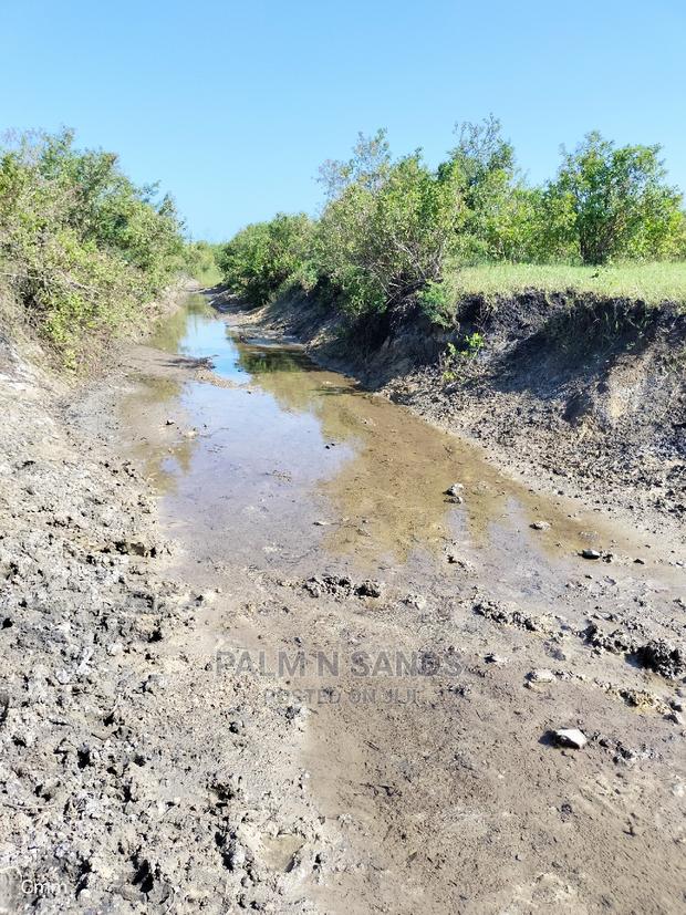 Fertile Farm Land on Sale - thumbnail 5