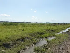 Fertile Farm Land on Sale