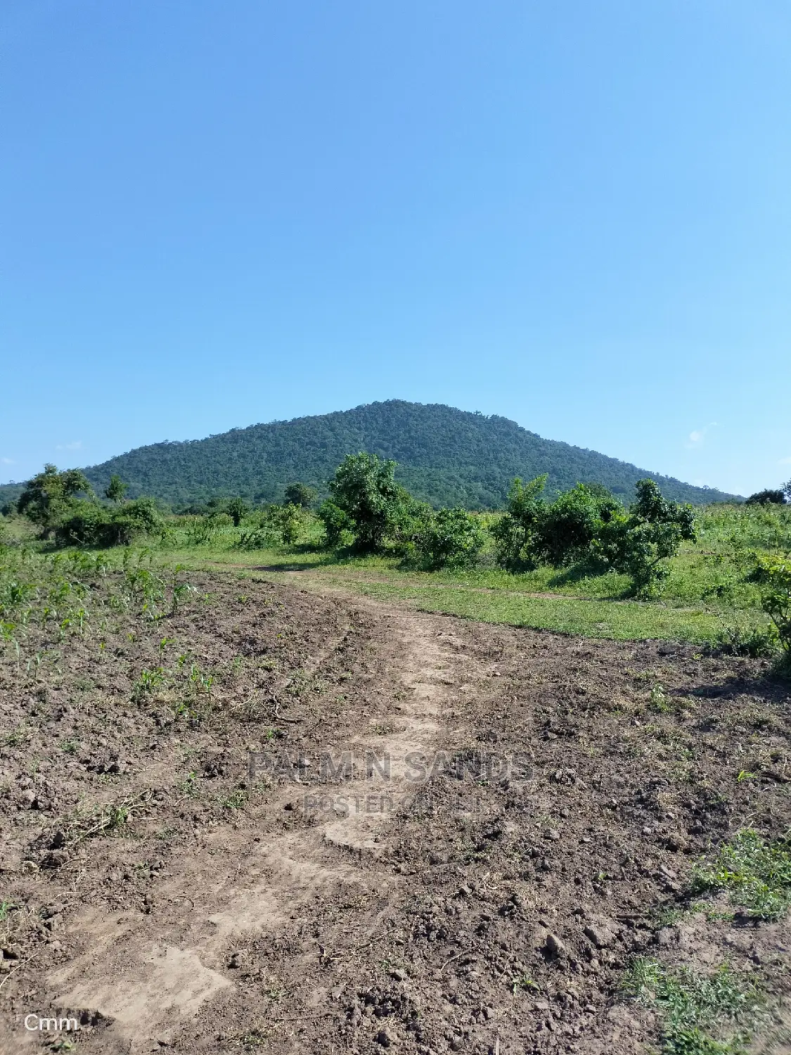 Fertile Farm Land on Sale
