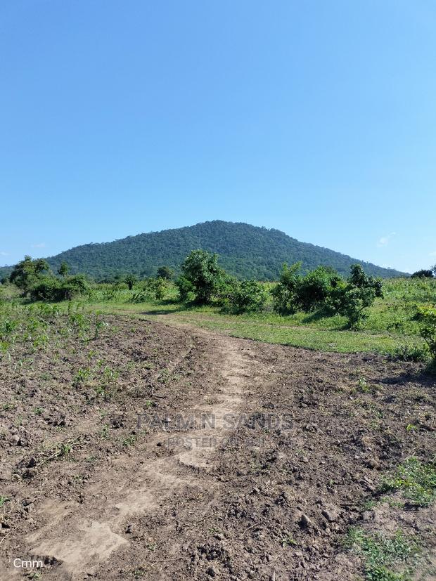 Fertile Farm Land on Sale - thumbnail 7