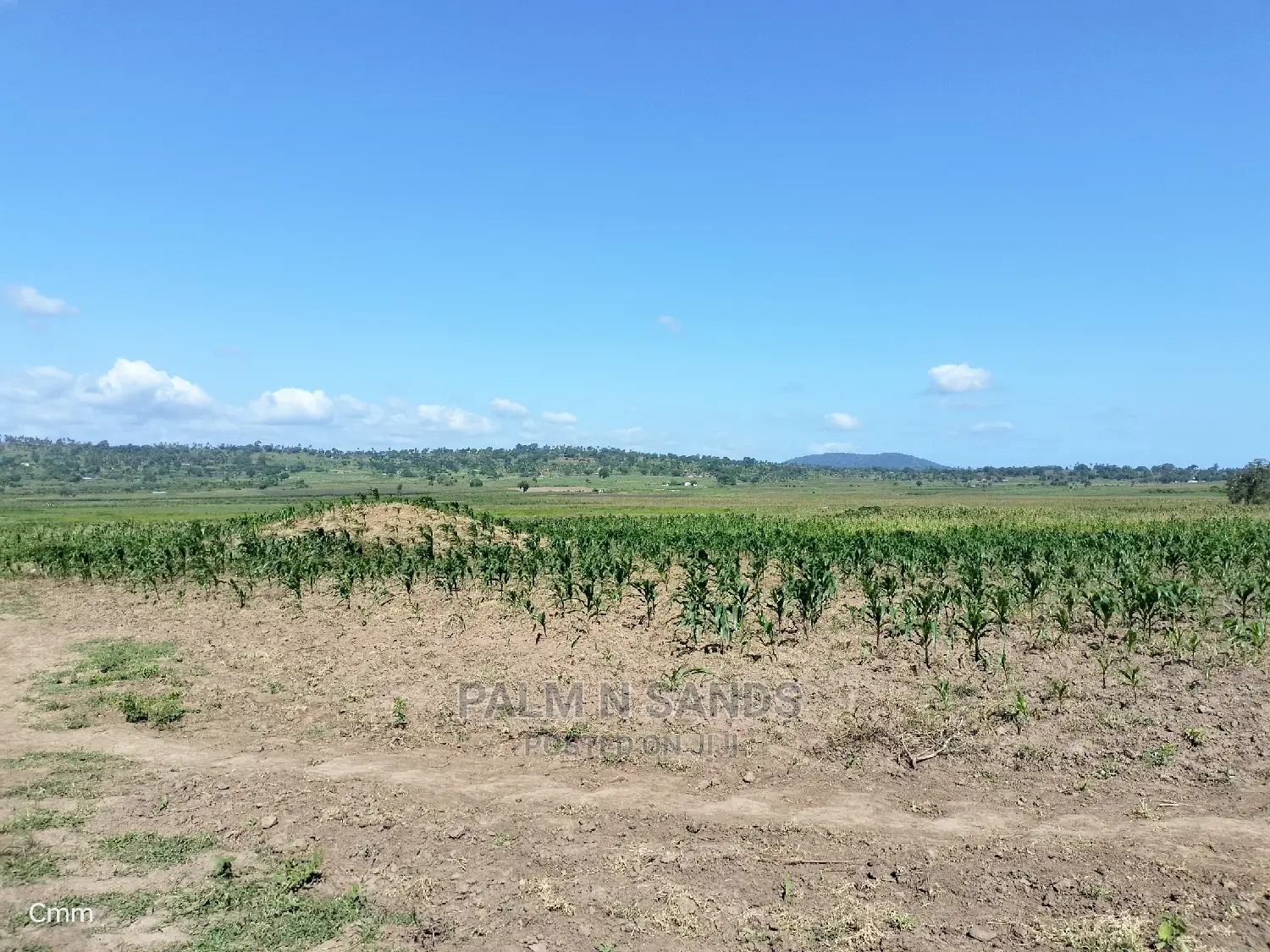 Fertile Farm Land on Sale