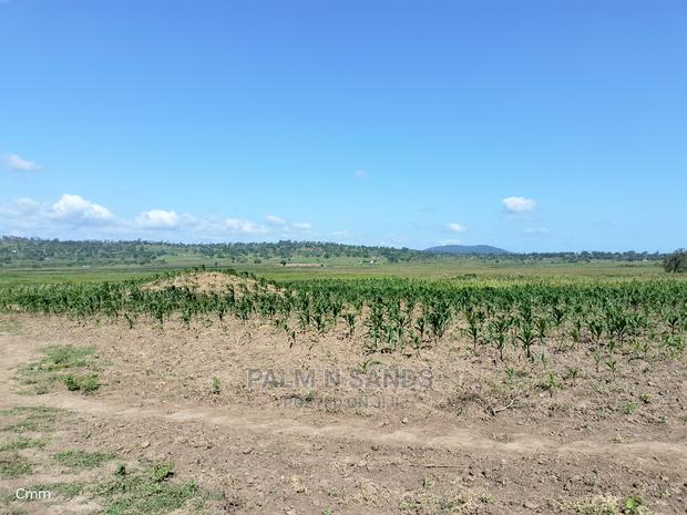 Fertile Farm Land on Sale - thumbnail 9