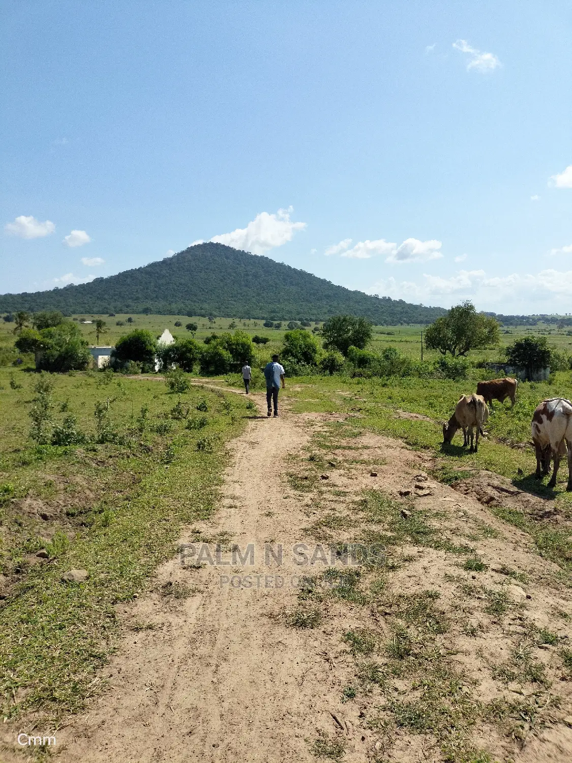 Fertile Farm Land on Sale