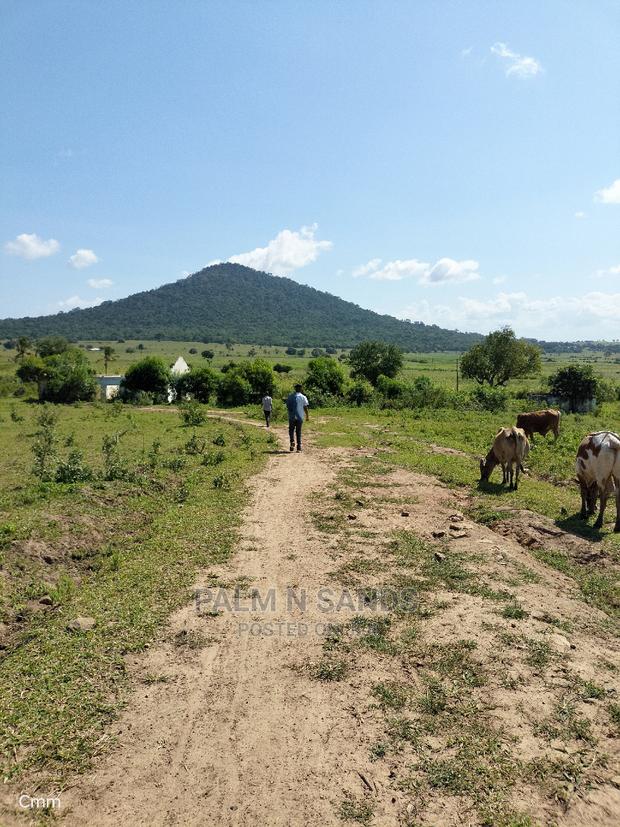 Fertile Farm Land on Sale - thumbnail 11