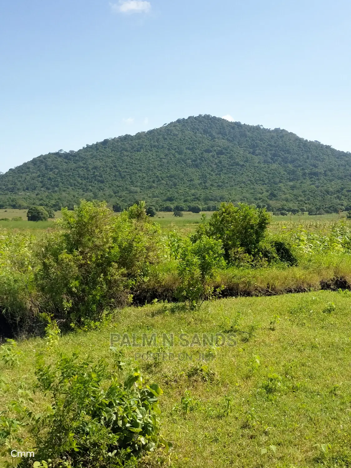 Fertile Farm Land on Sale