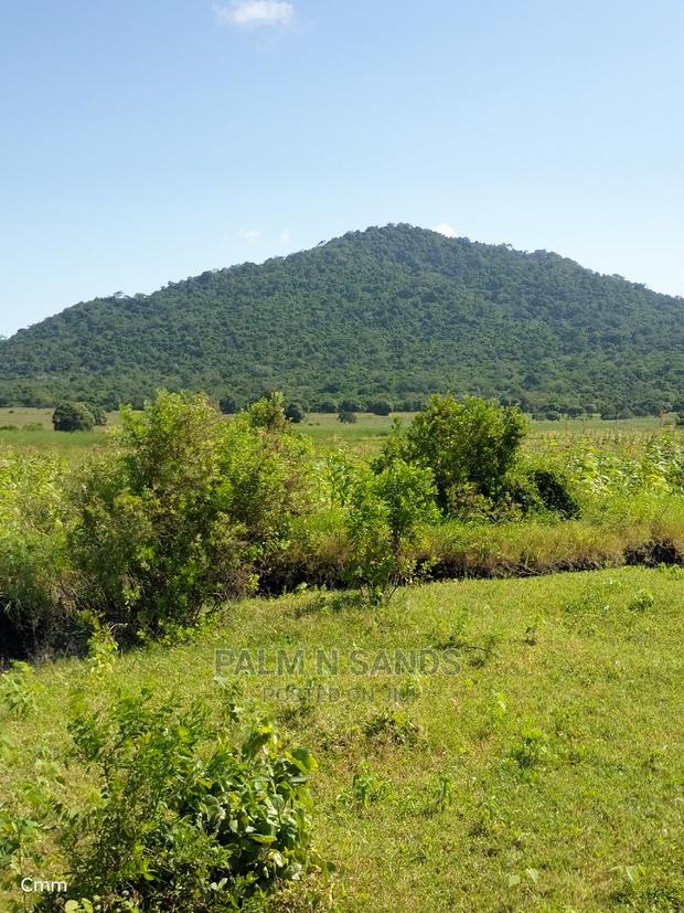 Fertile Farm Land on Sale - thumbnail 12