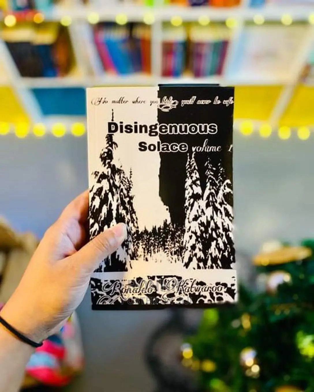 Disingenuous Solace Book by Ronaldo Katwaroo