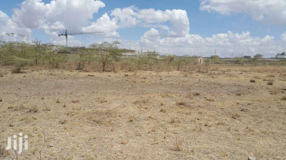 17 Acres for Sale
