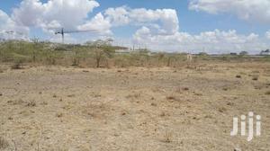 17 Acres for Sale