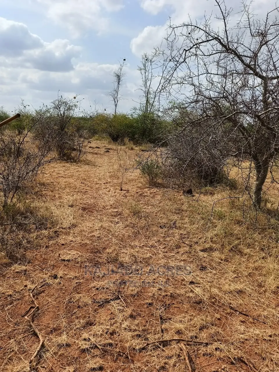 246 Acres Pion(Ilkisumeti) at Per Acre