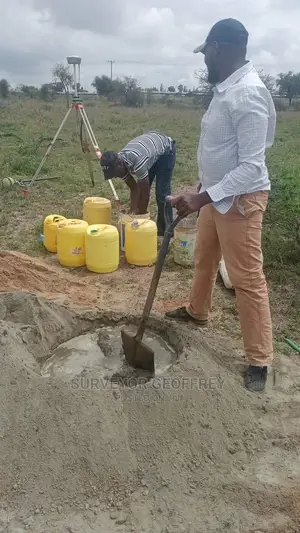 Land Surveyor