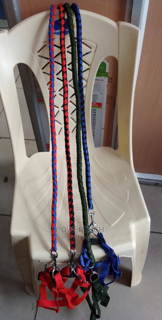 Medium Dog Leash - main view