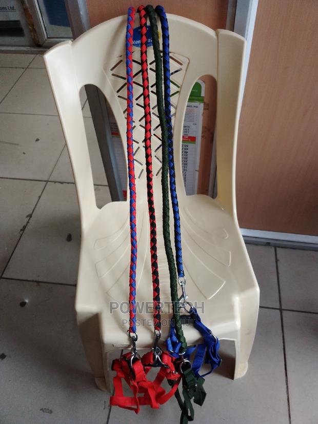 Adjustable Dog Leash for Small,Medium Dogs Heavy Duty Rope - main view