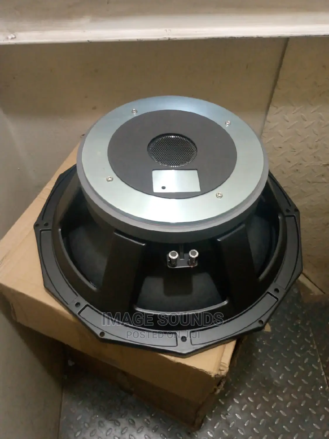 PD- 1850 18" Speaker Naked