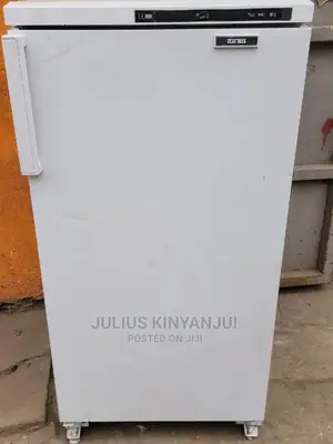 Deep Freezer Ignis 250l