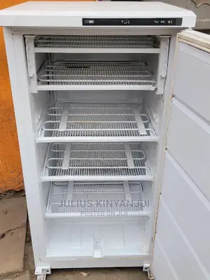 Deep Freezer Ignis 250l