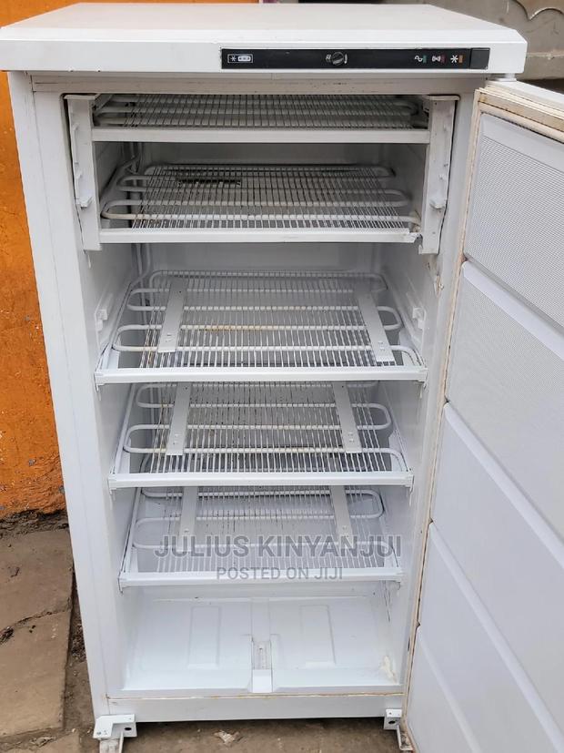 Deep Freezer Ignis 250l - thumbnail 2