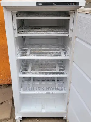 Deep Freezer Ignis 250l