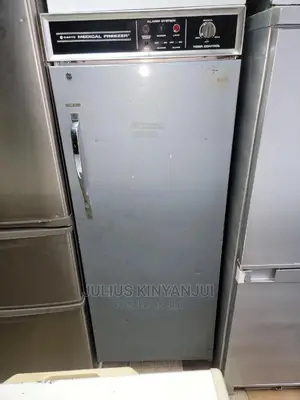 Deep Freezer Upright Sanyo