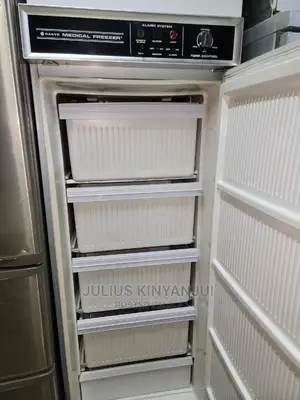 Deep Freezer Upright Sanyo