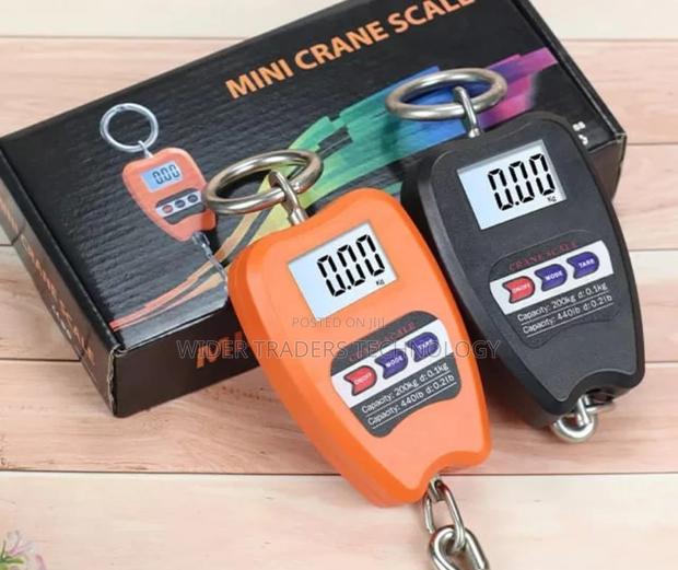 Mini Crane Scale 300KG Industrial Weight Digital LCD Display - main view