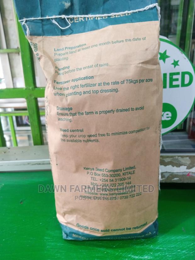Seredo Sorghum 2kg - thumbnail 3