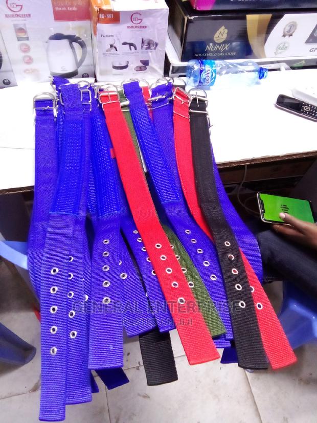 Dog Collar, Brand New Dog Collar - main view