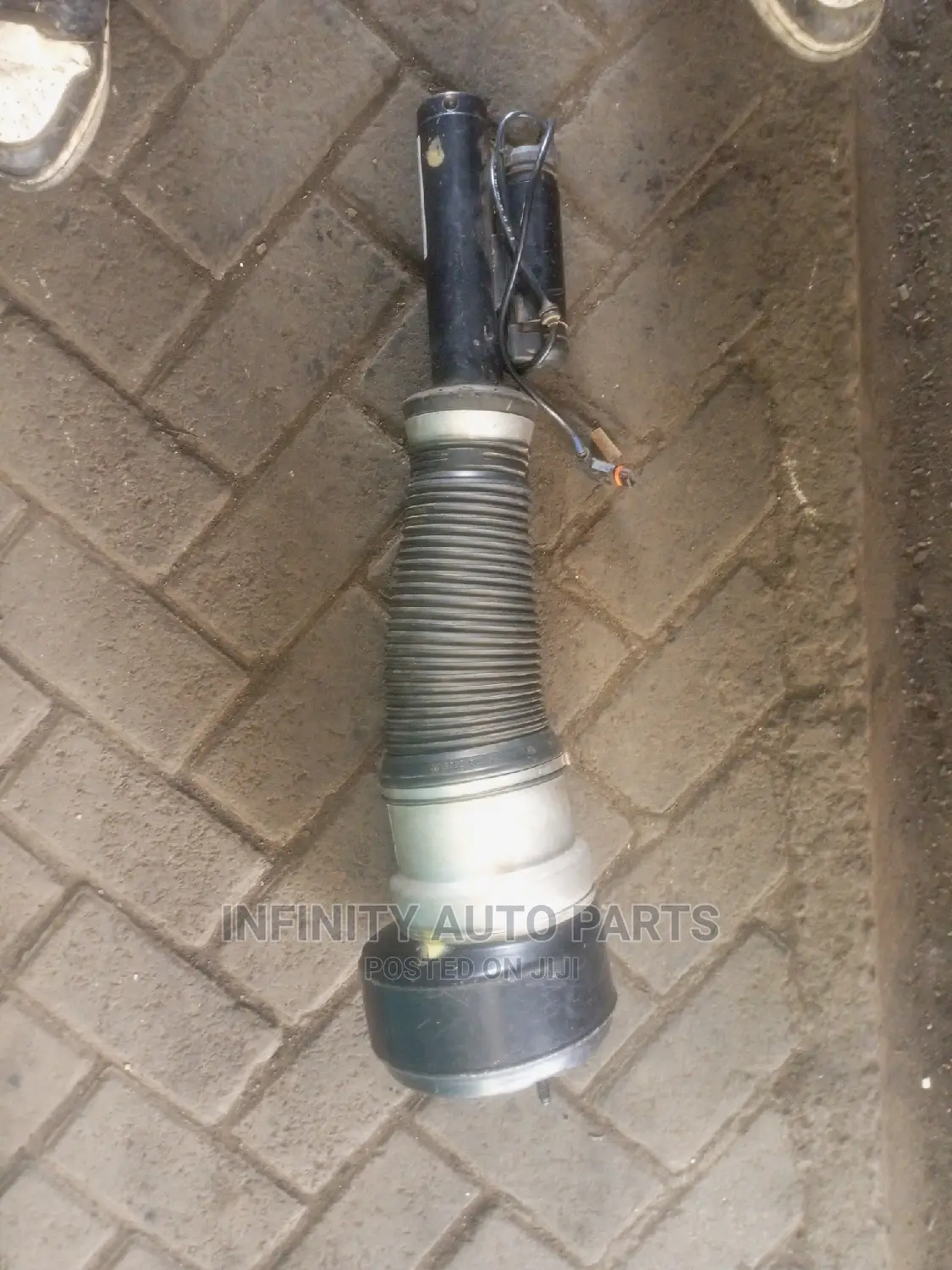 Mercedes Benz W221 Front Airmatic Shock