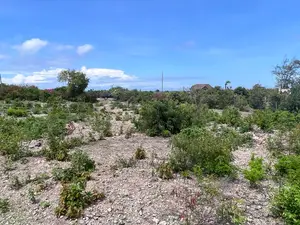 Affordable Beach Plots For Sale - Malindi