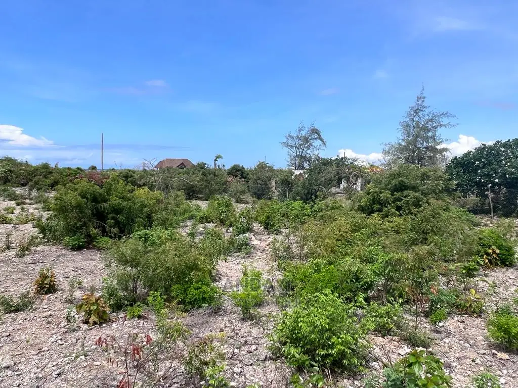 Affordable Beach Plots For Sale - Malindi