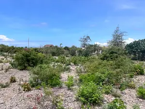 Affordable Beach Plots For Sale - Malindi