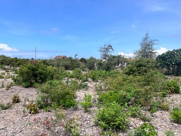 Affordable Beach Plots For Sale - Malindi - thumbnail 2