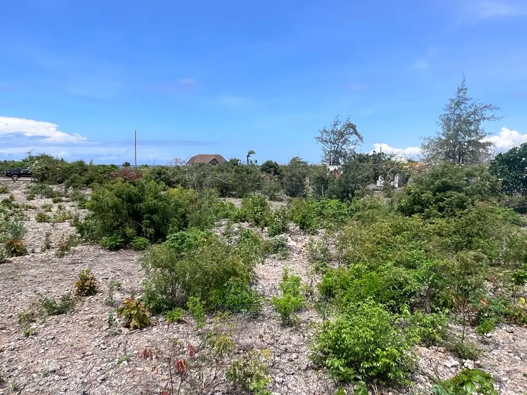 Affordable Beach Plots For Sale - Malindi