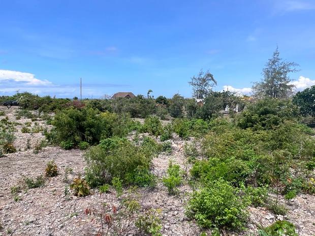 Affordable Beach Plots For Sale - Malindi - thumbnail 4